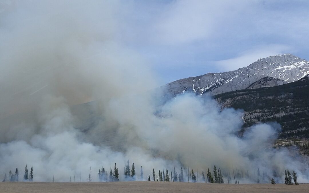 Wildfires, home insurance & staying safe during poor air quality days