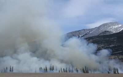 Wildfires, home insurance & staying safe during poor air quality days